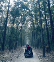 Jim Corbett Tour