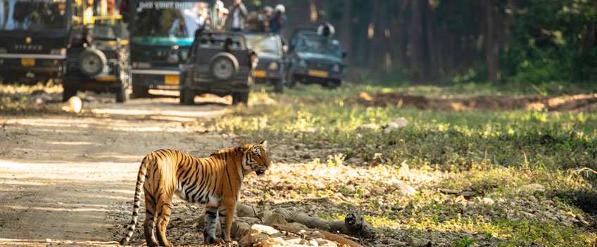 Jim Corbett Park