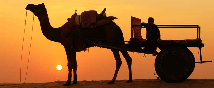 desert tour rajasthan