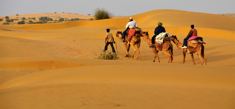 Desert Tour Rajasthan